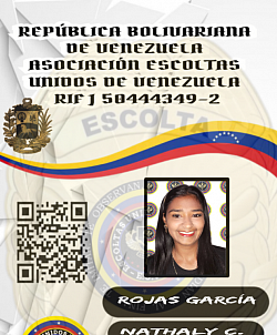 ACTIVO CON NOMBRAMIENTO