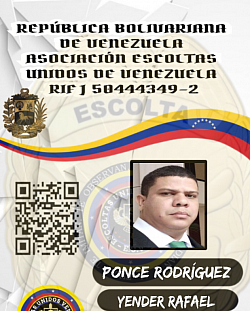 ACTIVO CON NOMBRAMIENTO