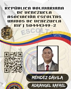 ACTIVO CON NOMBRAMIENTO