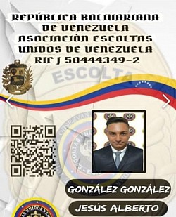 ACTIVO CON NOMBRAMIENTO