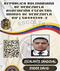 ACTIVO CON NOMBRAMIENTO
