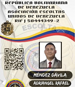 ACTIVO CON NOMBRAMIENTO