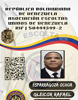 ACTIVO CON NOMBRAMIENTO