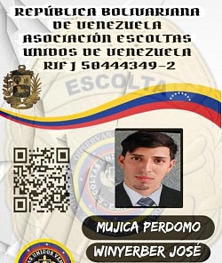ACTIVO CON NOMBRAMIENTO