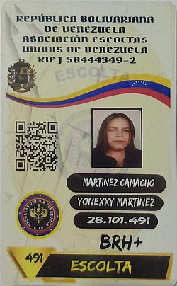Yonexxy M 491