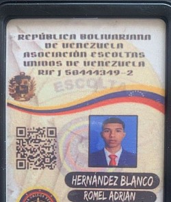 084 SUSPENDIDA