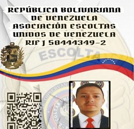 Bzbzbzz
