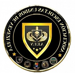 INSTRUCTOR FACILITADOR UNES